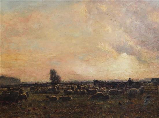 James William Buxton Knight (1842/4-1908) Sheep in a meadow at sunset, 25 x 34in.